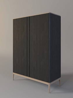 Шкаф для одежды 2-х дверный ICONS РВ 102 Мореный дуб (черный)