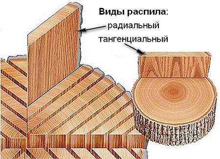 Радиальный и тангенциальный распил древесины – сравнительный визуальный анализ